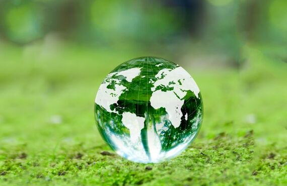 高砂市で害虫駆除の無料見積りは明神白獣へ