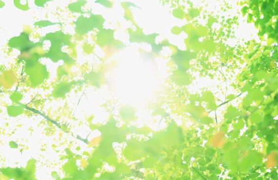 小野市でシロアリ対策や新築防蟻防腐工事をご希望ならお申し付けください